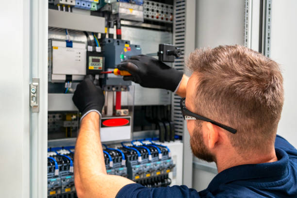 Best Electric Panel Repair  in Carbondale, CO